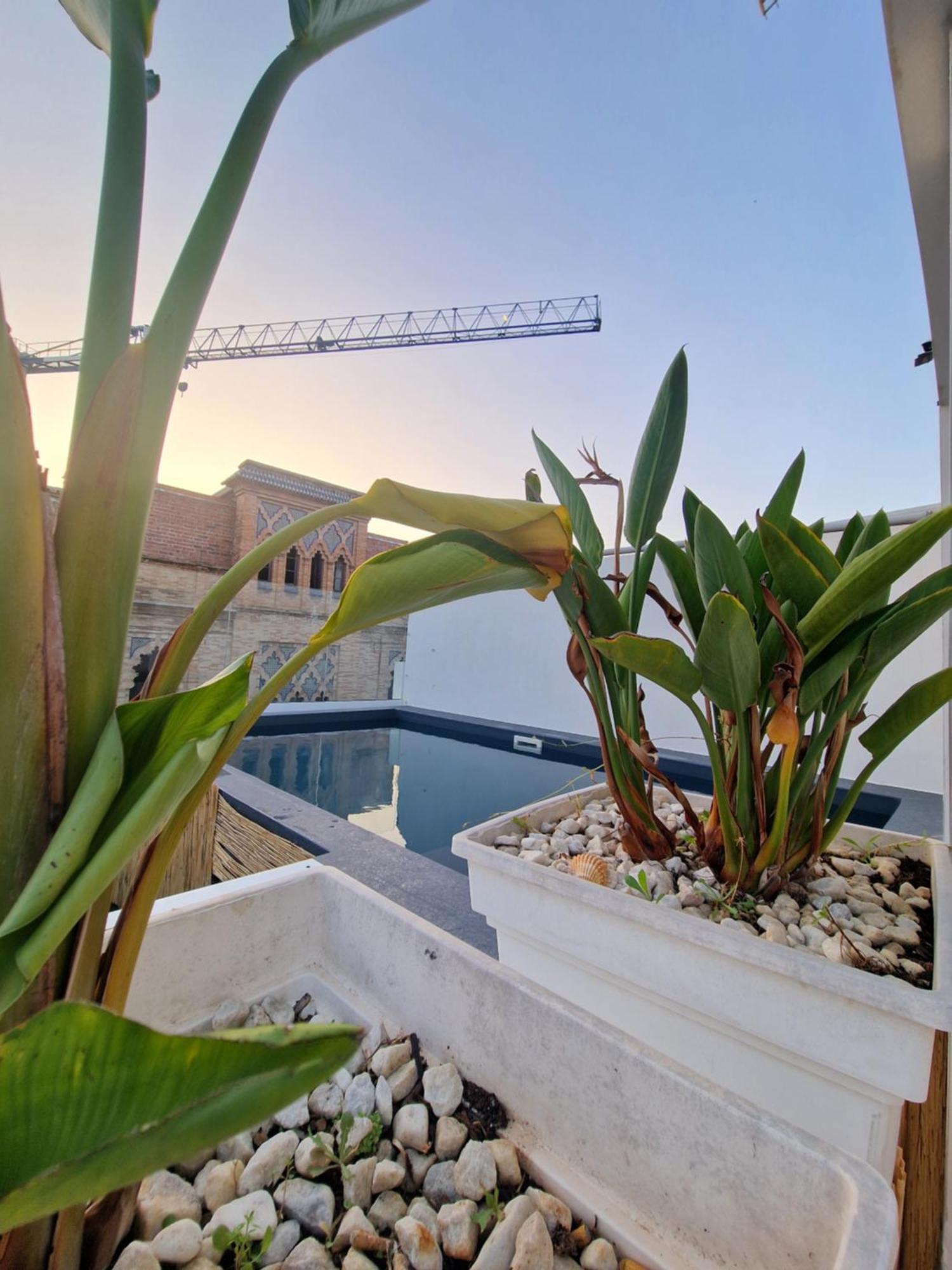Hotel Y Apartamentos Dona Lola Seville Ngoại thất bức ảnh